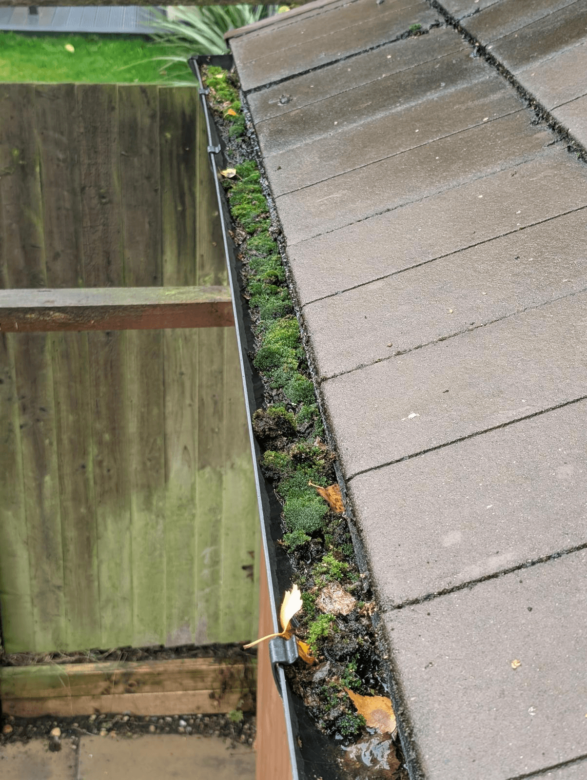 Gutter cleaning services